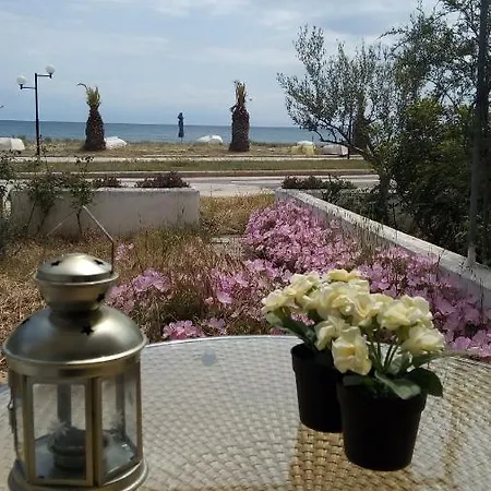 Elenis Sea Front Holiday home Nea Plagia